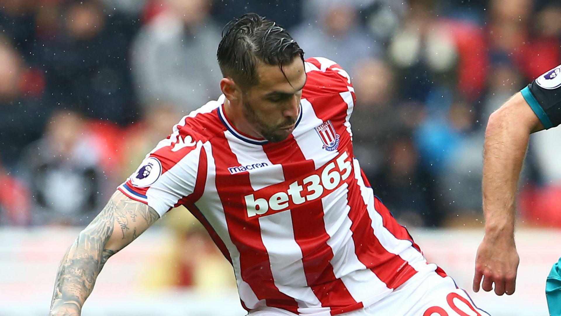 Geoff Cameron Stoke Geoff Cameron Stoke