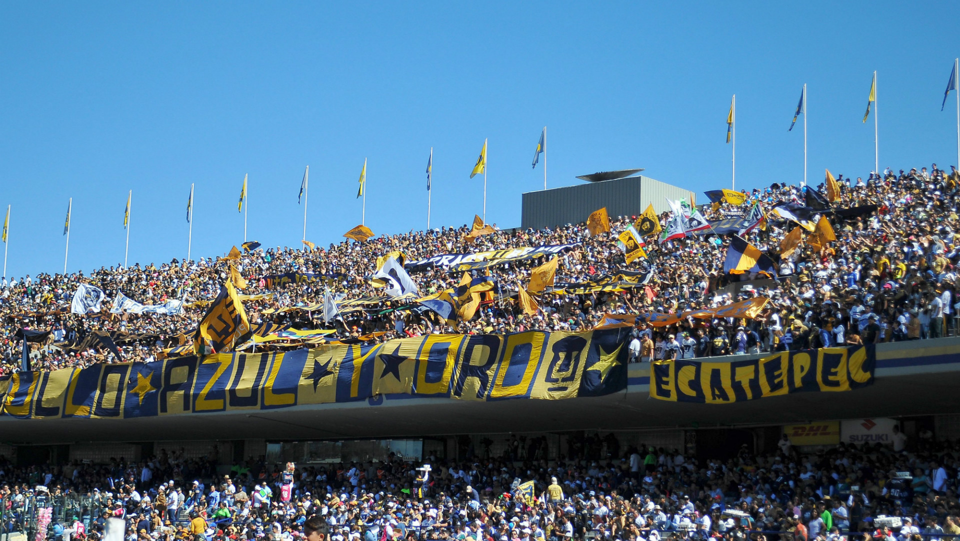 Pumas fans CU Pumas fans CU