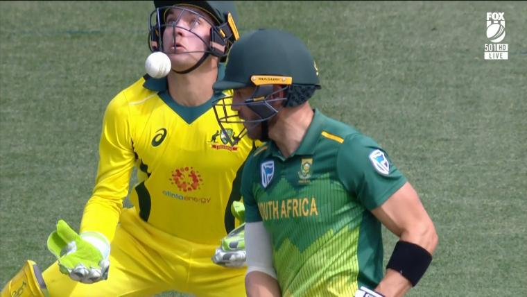 Australia v South Africa: Alex Carey drops Faf du Plessis, costs hosts 96 runs image