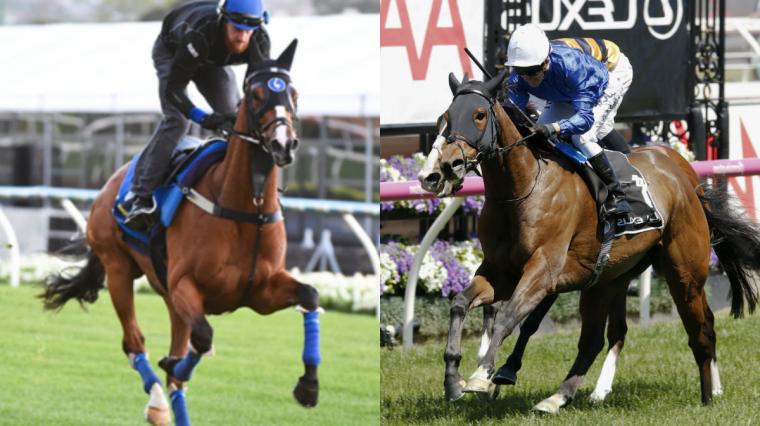 Godolphin duo on top of Melbourne Cup betting image