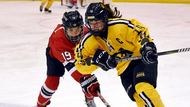 Boston Pride's Jillian Dempsey ready for 2019 NWHL All-Star Game: 'I'm so excited' image