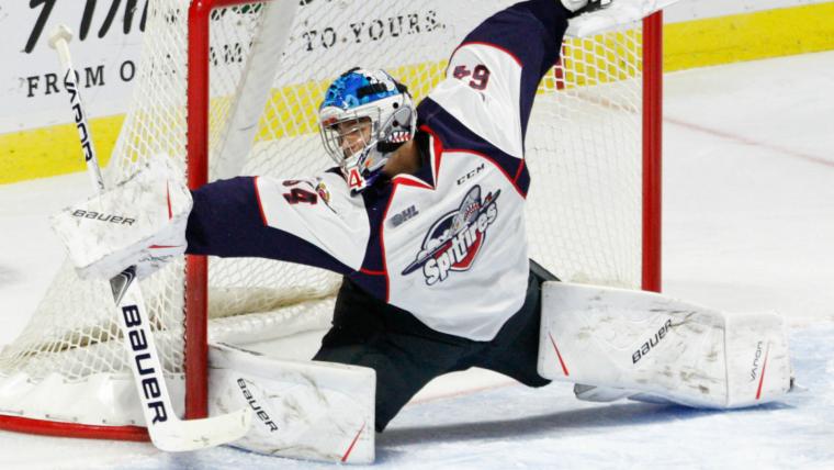 Canucks prospect Michael DiPietro sizes up his path to the NHL image