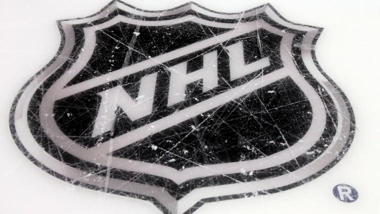 NHL suspends season amid coronavirus concerns image