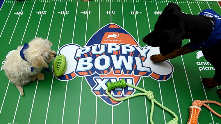 What time is the Puppy Bowl 2020? TV channel & how to stream the cutest game of the year image