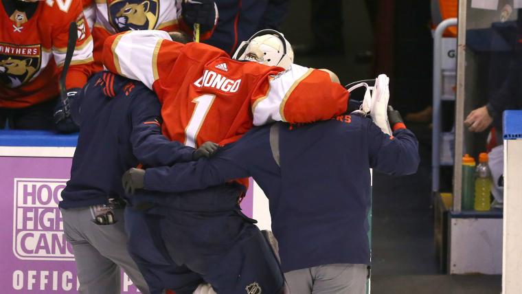 Panthers goalie Roberto Luongo leaves Islanders game with injury image