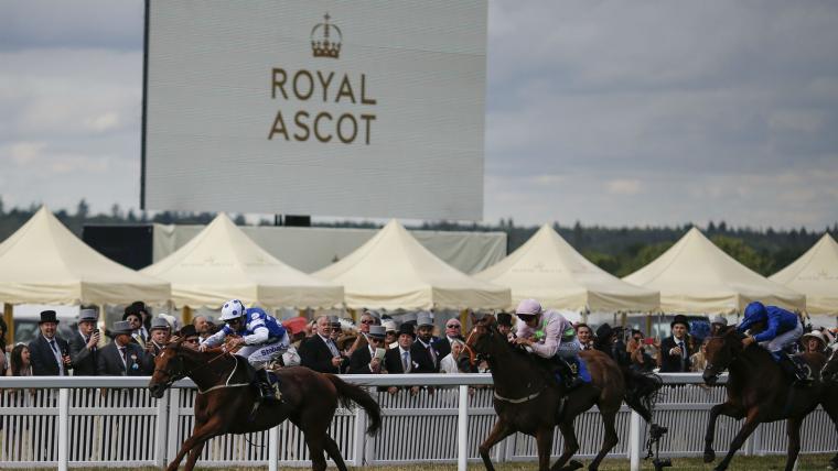 Horse runs race without jockey at Diamond Jubilee Stakes image