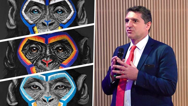 Monkey paintings cause new Serie A racism storm image