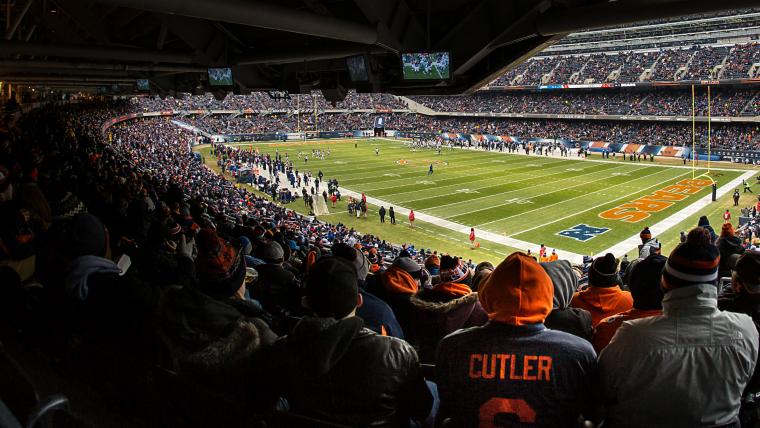 Bears-Lions game interrupted by man in gorilla costume, 'All Lives Matter' shirt image