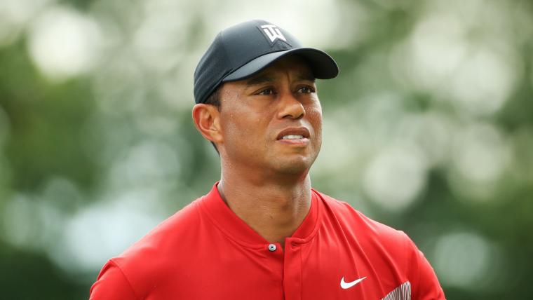 Tiger undergoes minor knee surgery image