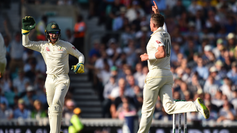 Ashes 2019: Tim Paine reveals that he and Peter Siddle played through injury during the fifth Test image