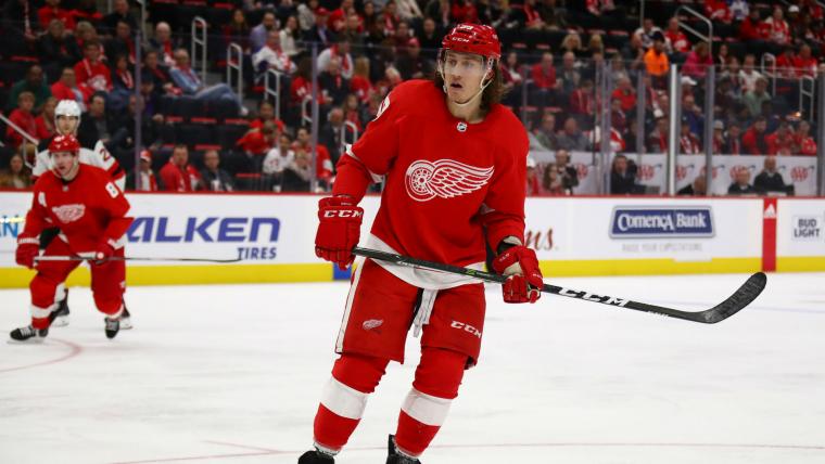 Red Wings' Tyler Bertuzzi suspended two games for punch on Avalanche's Matt Calvert image