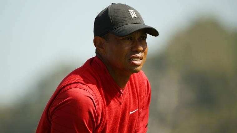 Tiger reacts to last-place finish image