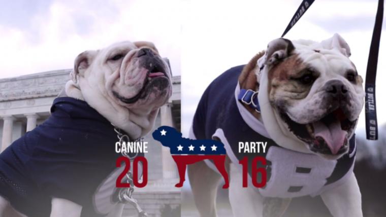 Butler and Georgetown's bulldog mascots are going to save America's presidential election image