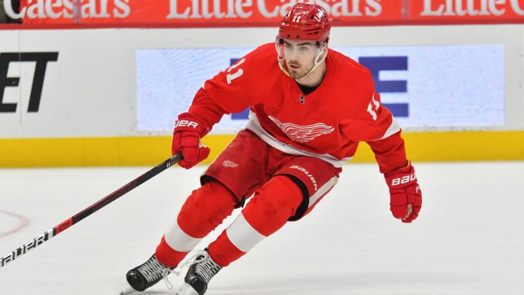 Red Wings' Filip Zadina calls Canucks' Conor Garland slur after hit image