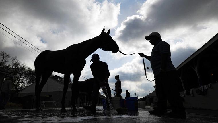 Kentucky Derby 2014 image