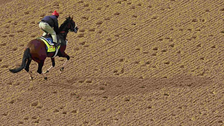 Kentucky Derby 2014 image