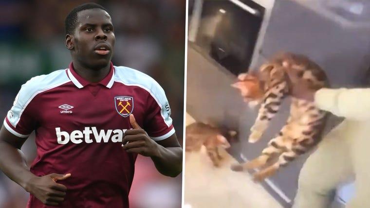 West Ham star Zouma filmed abusing cat, apologises after public outrage image