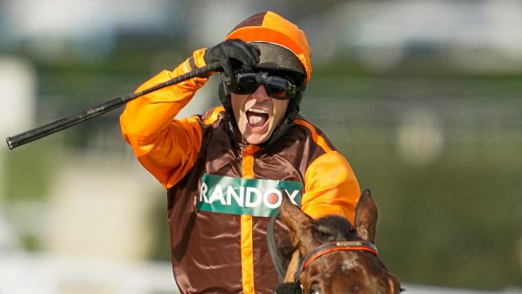 Grand National result: Noble Yeats wins image