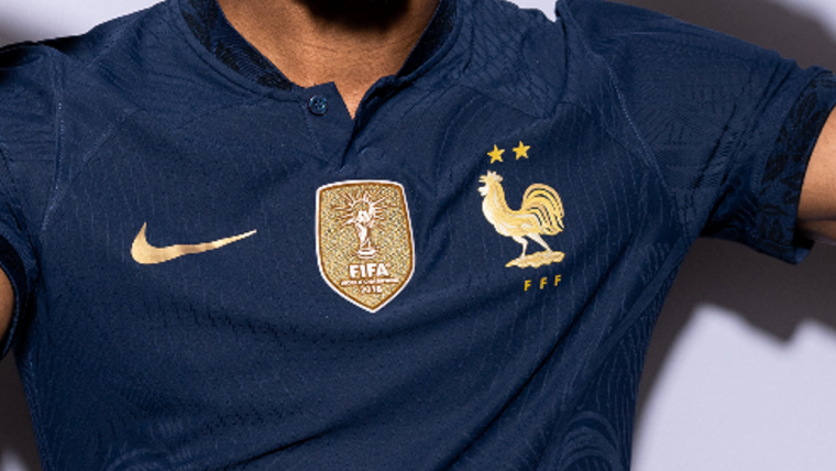 Why does France have a rooster on their jersey? image