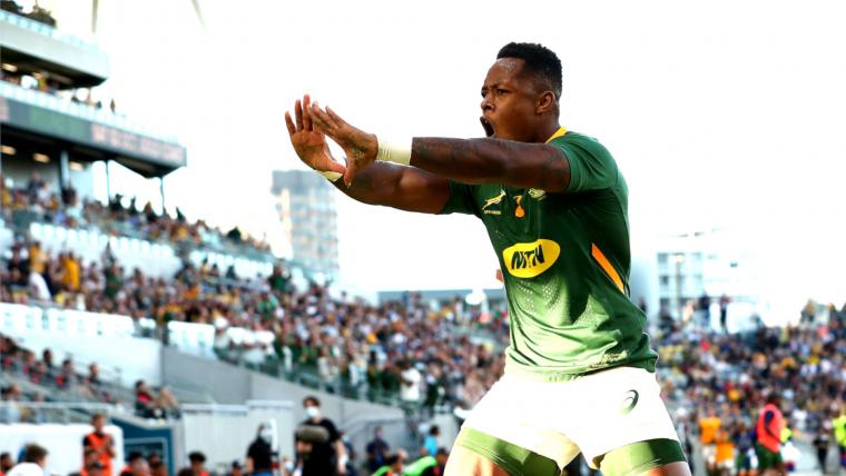 Missing Bok winger Sbu Nkosi has been spotted image