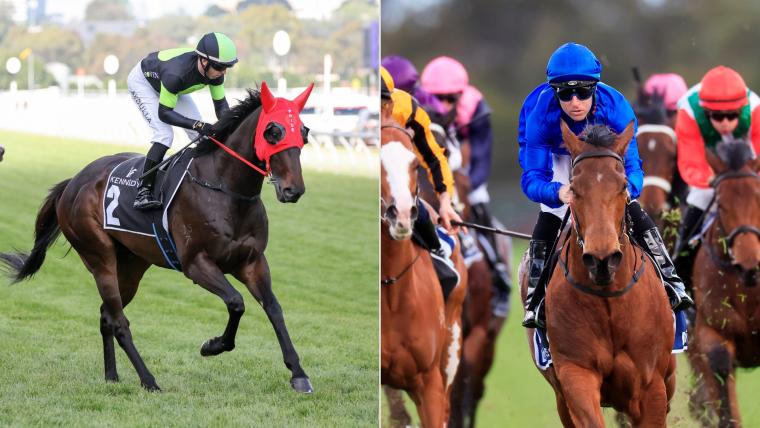 The Shorts 2023 betting preview: Tips, odds and analysis for Everest lead-up race at Randwick image