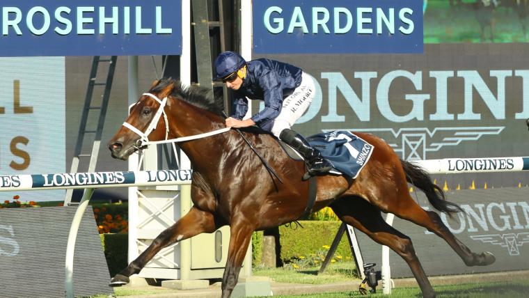 Golden Rose 2023 betting preview: Tips, odds and analysis for Group 1 race at Rosehill image