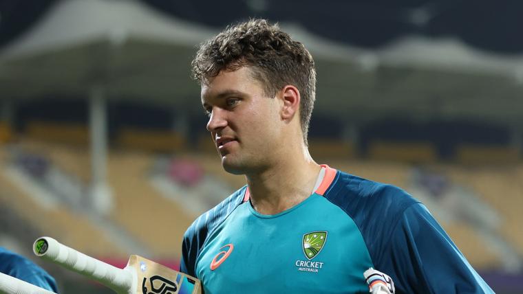 ODI World Cup: Tim Paine raises concerns over Australian wicket-keeper Alex Carey image