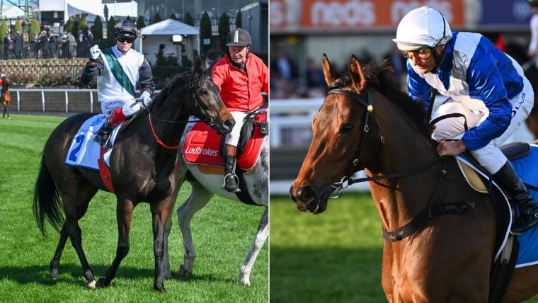 Cox Plate 2023 betting preview: Tips, odds, form guide and analysis for $5 million Group 1 race image