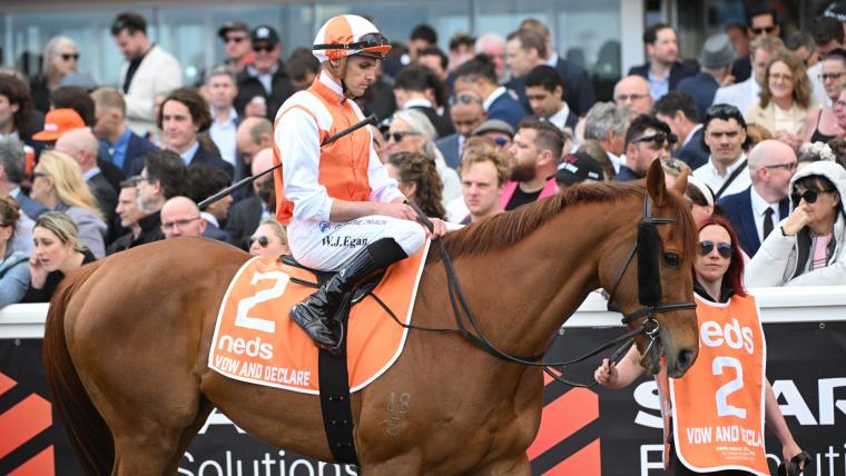 How many Australian horses are in the 2023 Melbourne Cup? image