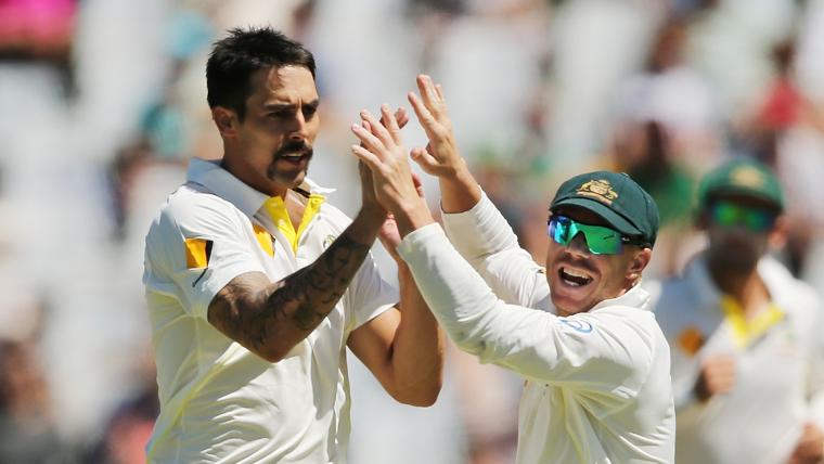 Mitchell Johnson vs David Warner: Former vice-captain Brad Haddin questions 'aggressive attack' image