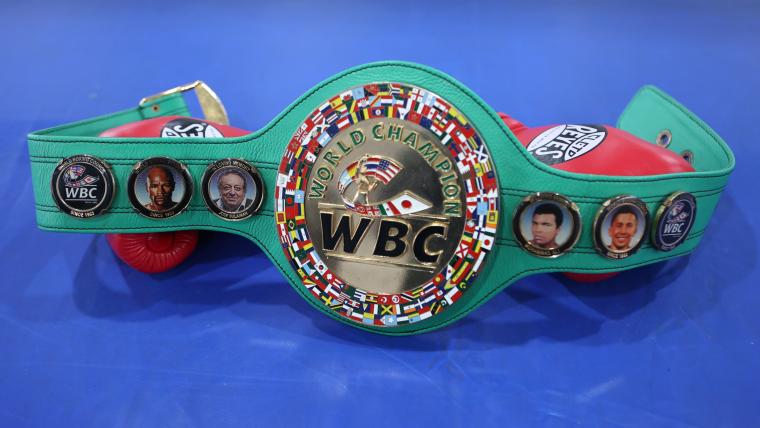 What is bridgerweight? Boxing's 18th weight division explained image