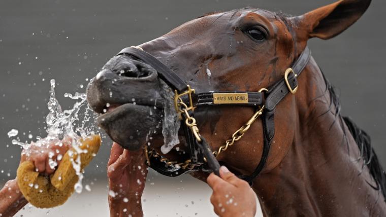 Kentucky Oaks odds, picks & best bets image