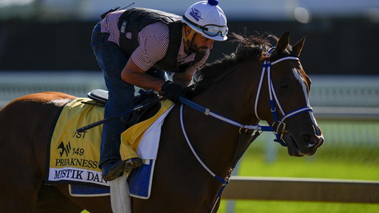 Comparing best ticket prices to see the Preakness Stakes in 2024 image