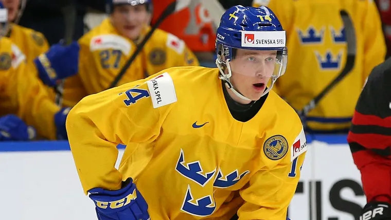 Swedish NHL players raise concerns by reportedly skating during quarantine image