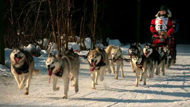 Iditarod-Getty-031720-FTR