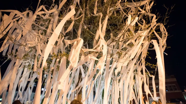 Auburn fans prematurely roll Toomer's Corner in Final Four loss to Virginia image