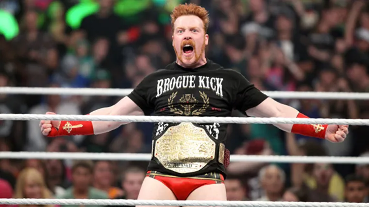 WWE star Sheamus to play villain in 'Teenage Mutant Ninja Turtles' sequel image