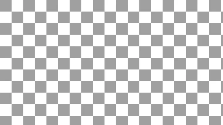 alternative text for test image that is just a gray and white grid