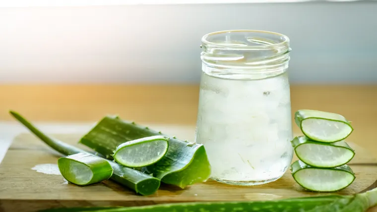 Aloe Vera. Photo: Shutterstock