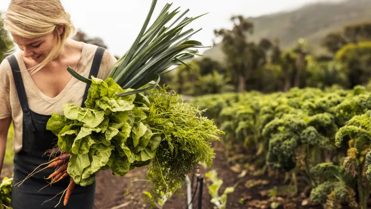 Organic produce. Photo: Shutterstock