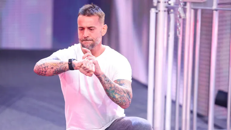 CM Punk - WWE