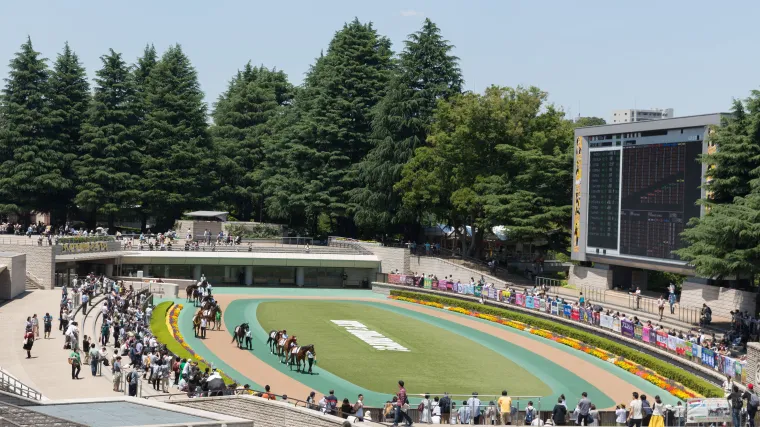 Horse Racing Paddock at the Tokyo Racecourse 060318 東京競馬場パドック