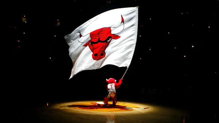 Bulls Flag