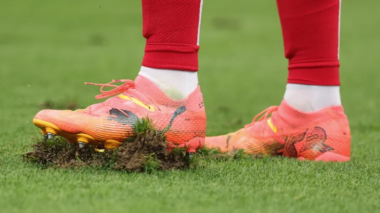 England vs. Denmark pitch