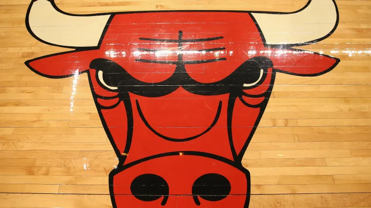 Bulls logo