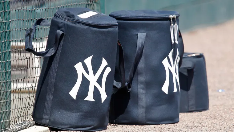 New York Yankees bag