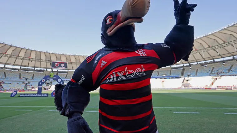 Urubu do Flamengo