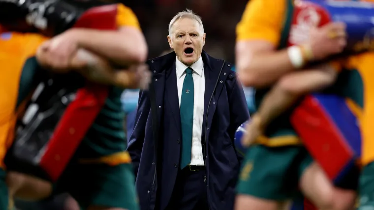 Joe Schmidt