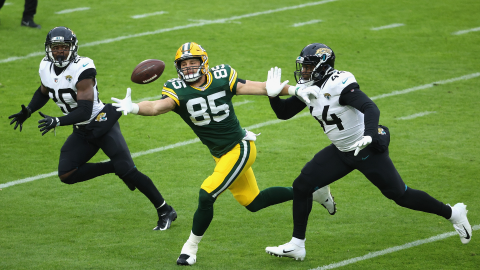 Green Bay Packers: Robert Tonyan, TE 